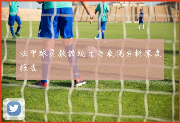 法甲球员数据统计与表现分析深度报告
