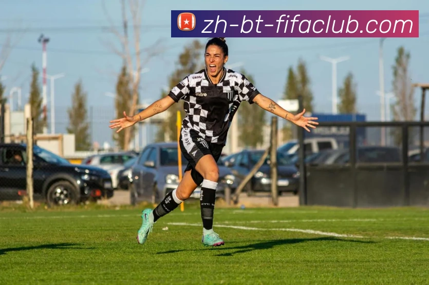 世界杯直播平台生态图