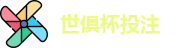 2025世界俱乐部杯